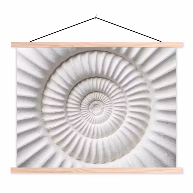 Schoolplaat - Schelp - Spiraal - Wit — 1