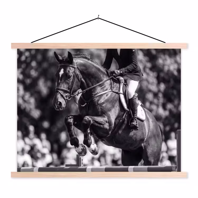 Schoolplaat - Springen - Paard - Zwart - Wit — 1