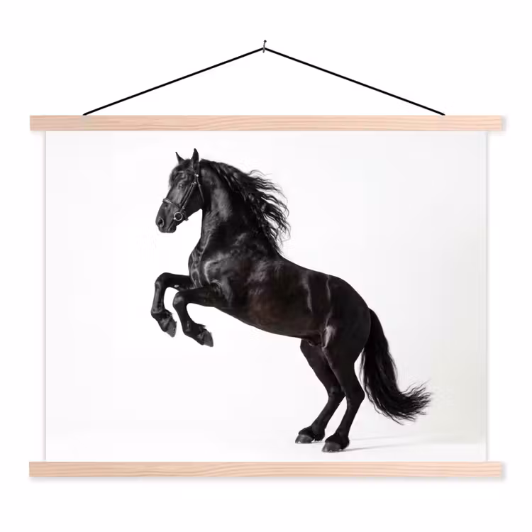 Schoolplaat - Zwart - Paard - Portret — 1
