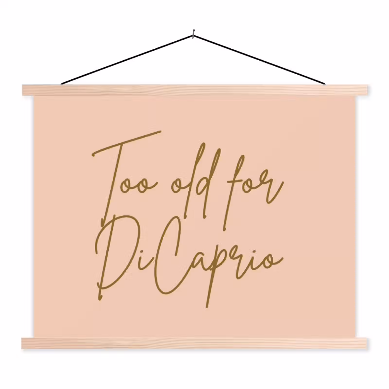 Schoolplaat - Too old for dicaprio - Roze - Groen — 1