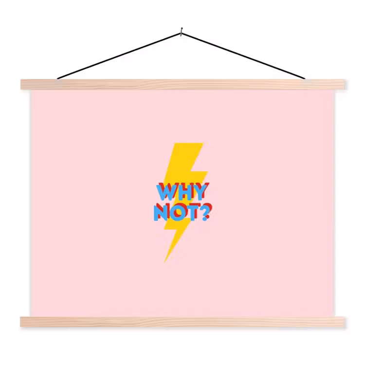 Schoolplaat - Why not - Bliksem - Roze — 1