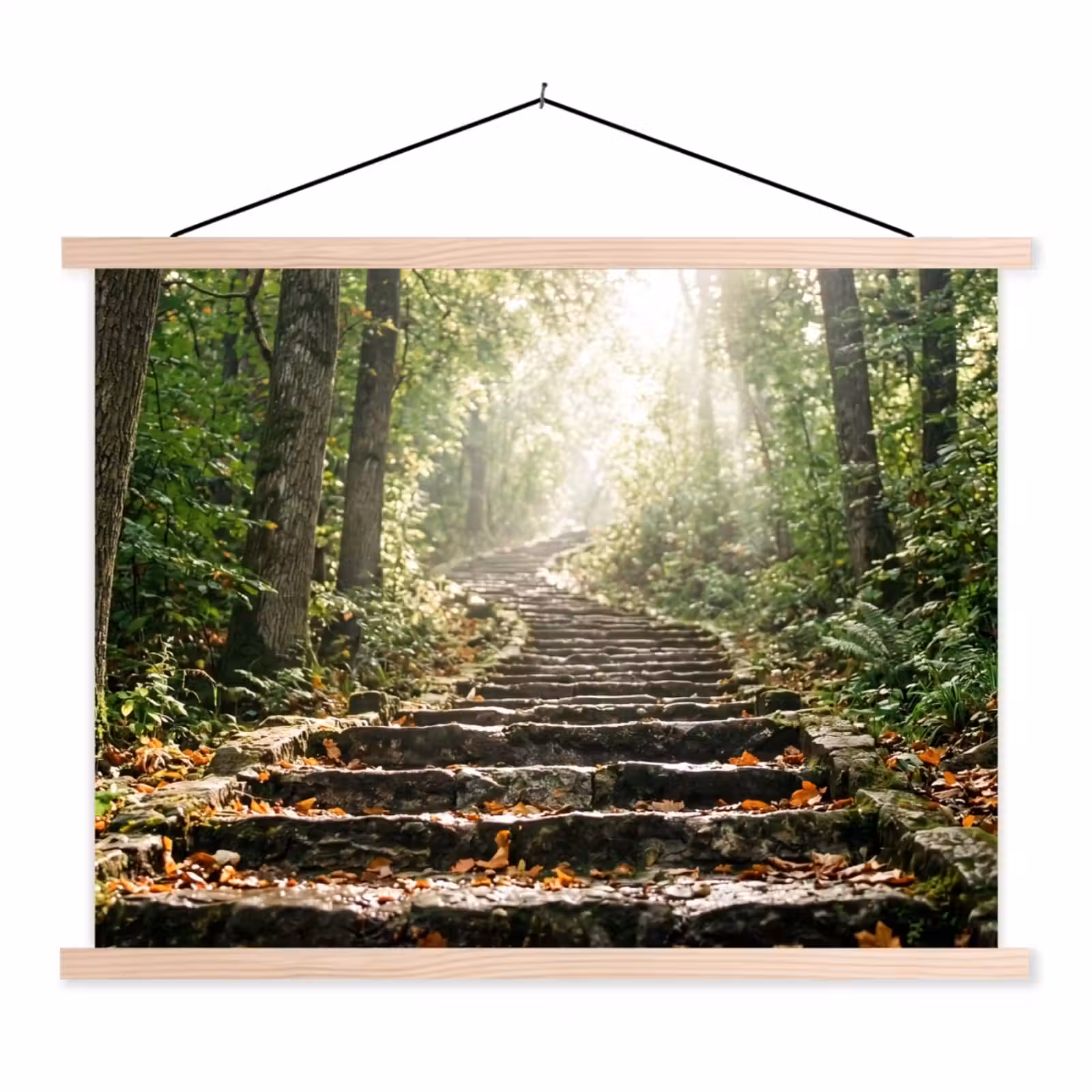 Schoolplaat - Stenen - Trap - Bos - Natuur — 1