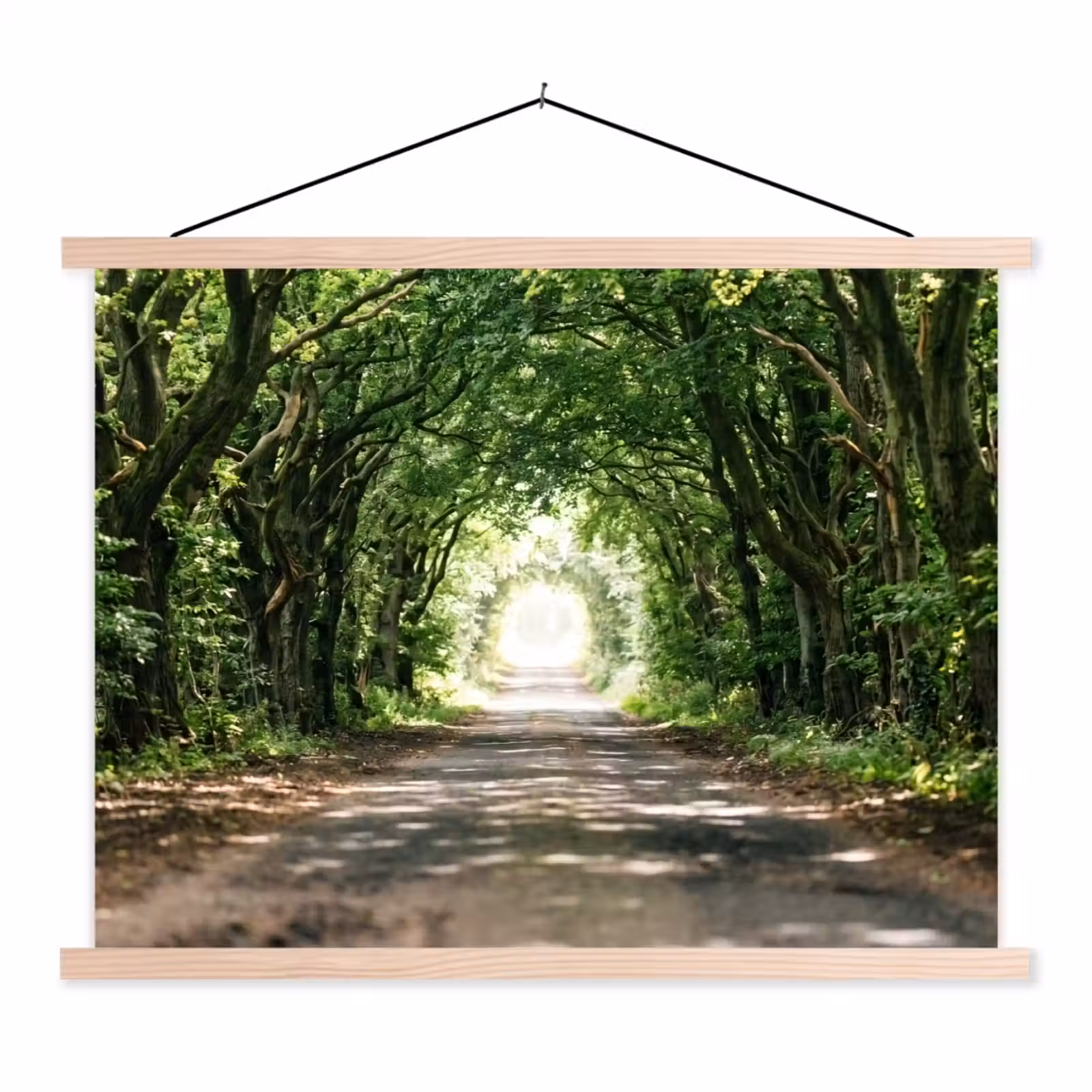 Schoolplaat - Weg - Bomen - Natuur - Groen — 1