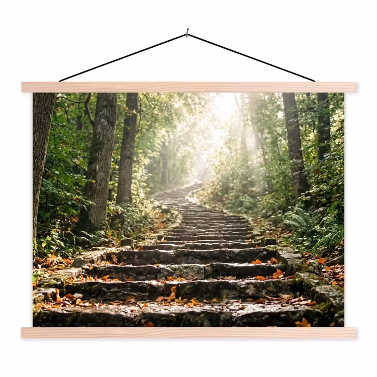 Schoolplaat - Stenen - Trap - Bos - Natuur — 1