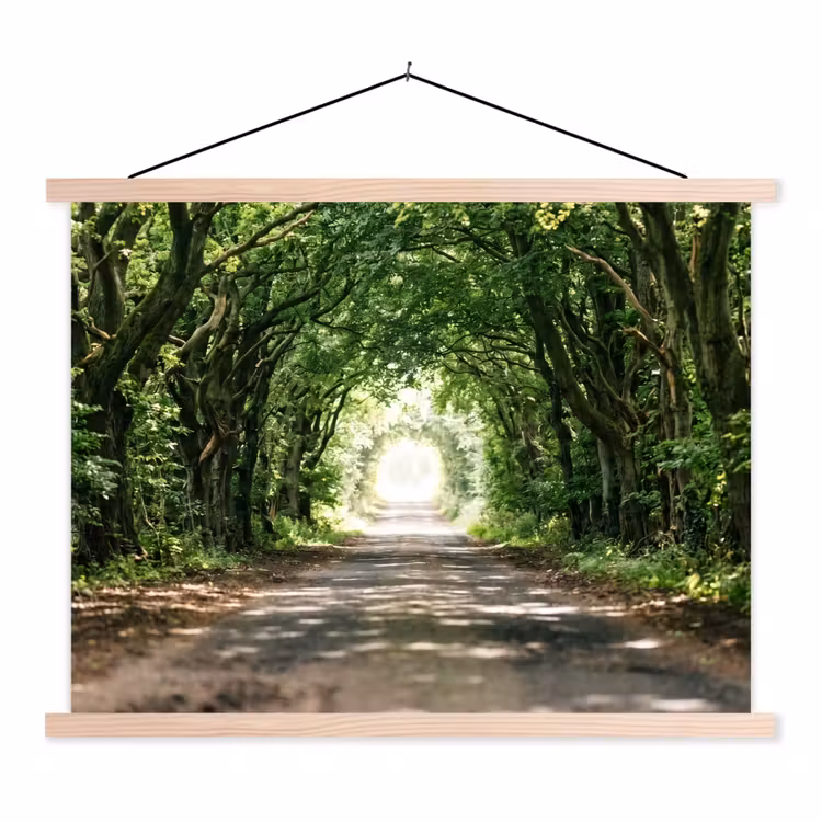Schoolplaat - Weg - Bomen - Natuur - Groen — 1