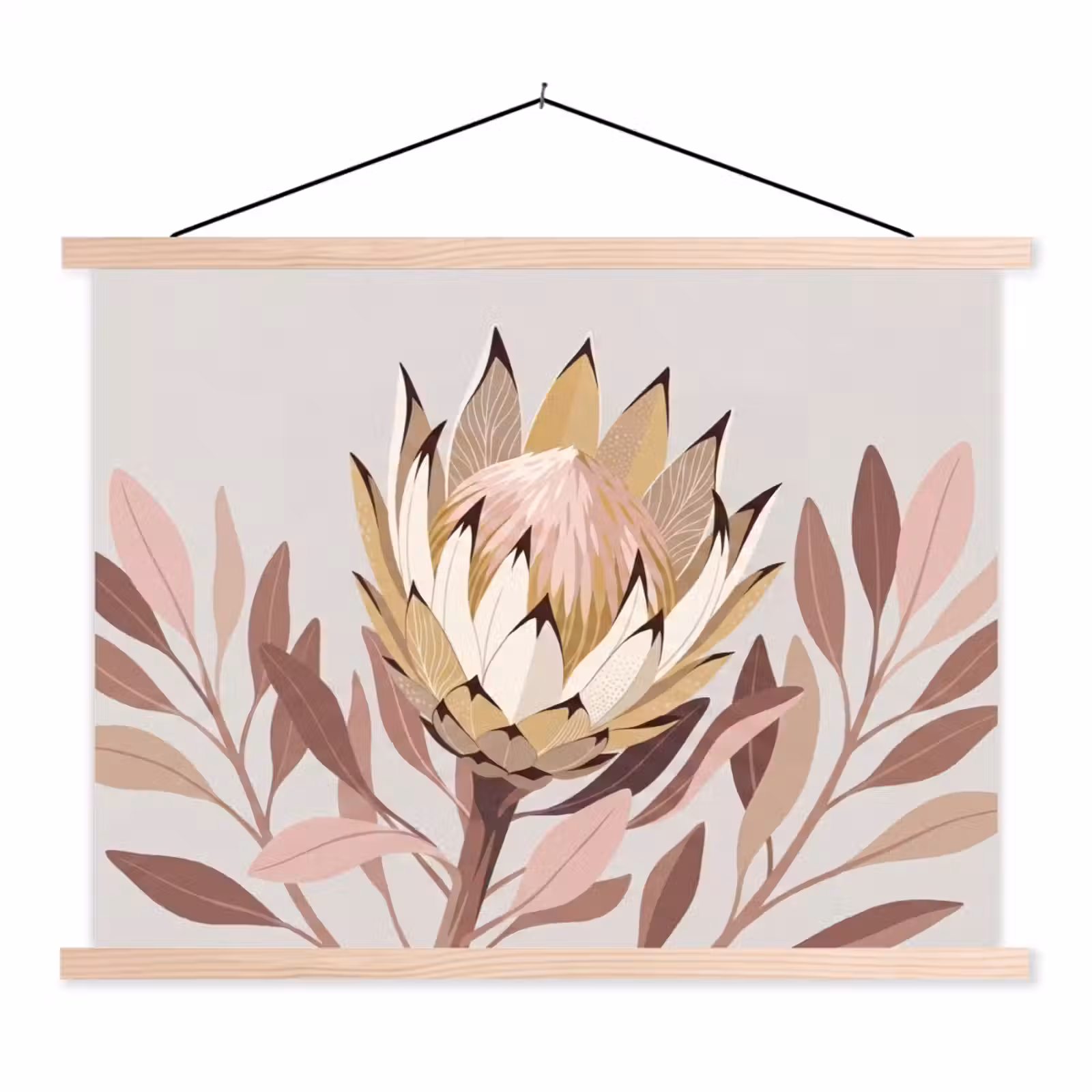 Schoolplaat - Protea - Bloem - Botanisch - Beige — 1