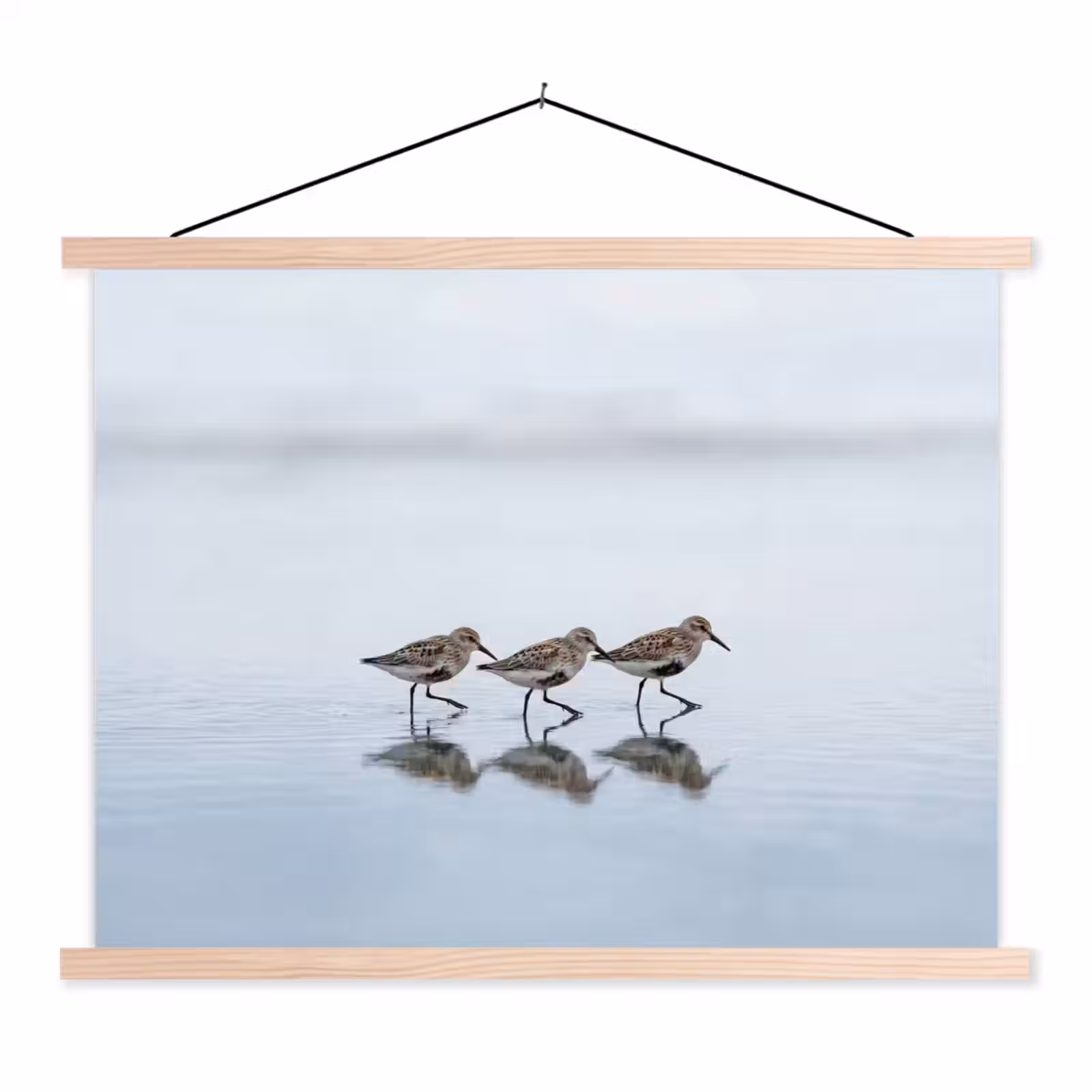 Schoolplaat - Vogels - Water - Grijs — 1