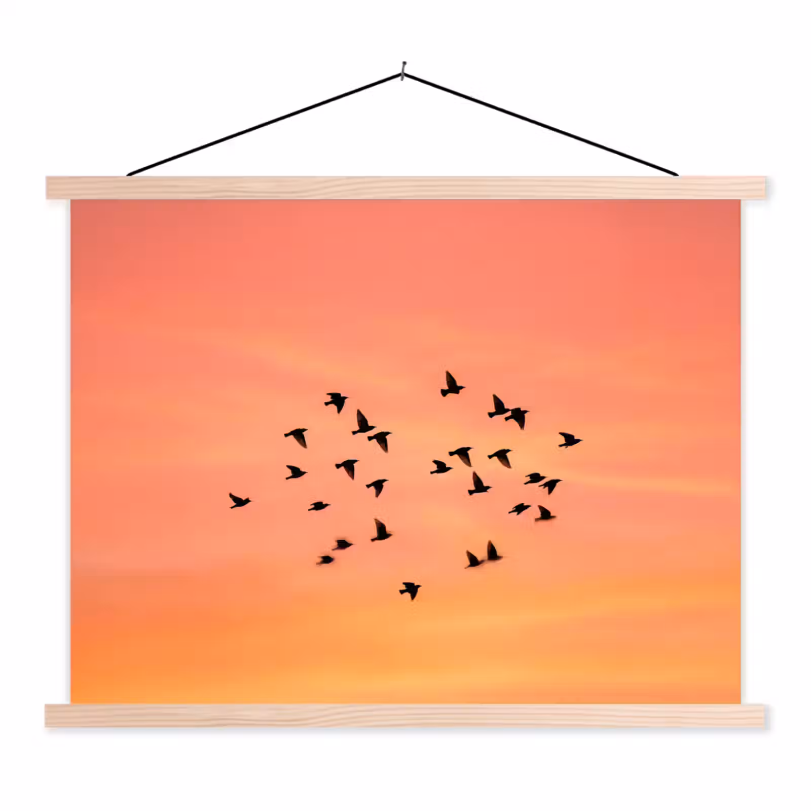 Schoolplaat - Zwerm - Vogels - Oranje — 1