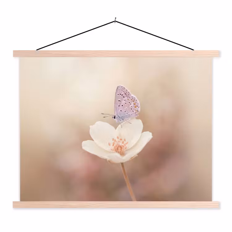 Schoolplaat - Vlinder - Bloem - Blauw — 1