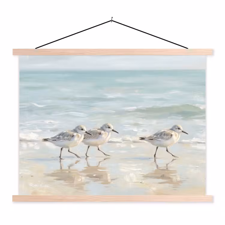 Schoolplaat - Vogels - Strand - Zee — 1