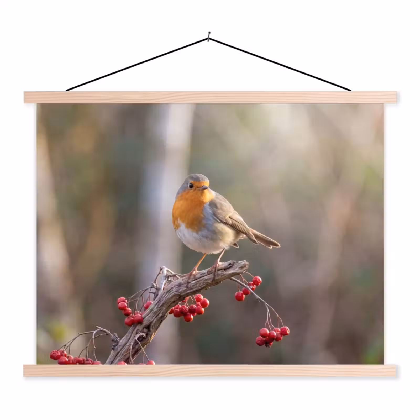 Schoolplaat - Roodborst - Tak - Bessen - Natuur — 1