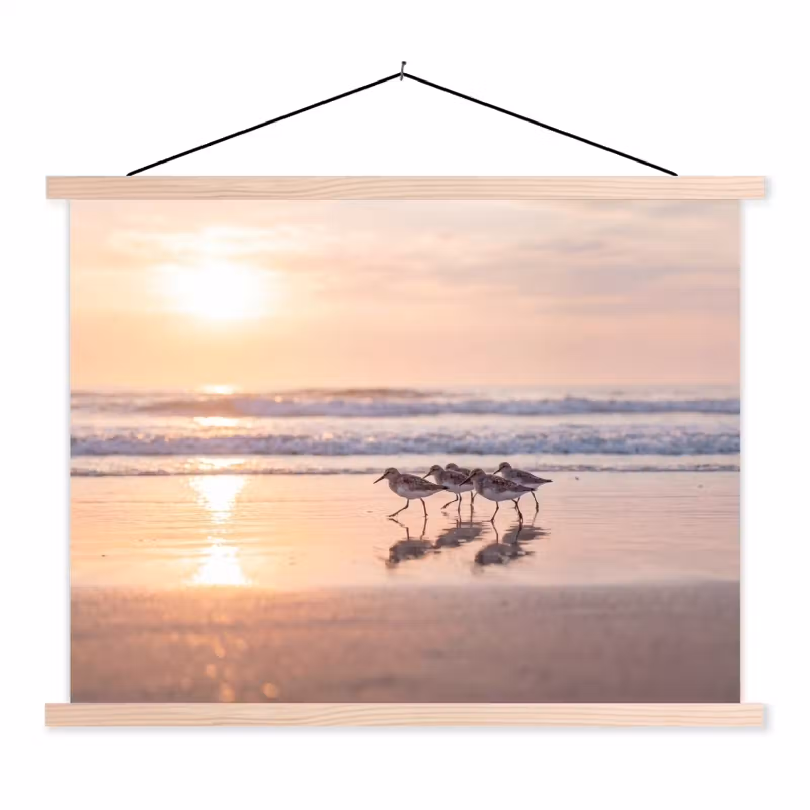 Schoolplaat - Zee - Vogels - Strand — 1