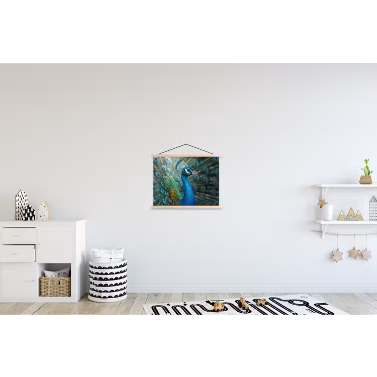 Schoolplaat - Pauw - Veren - Blauw — 3