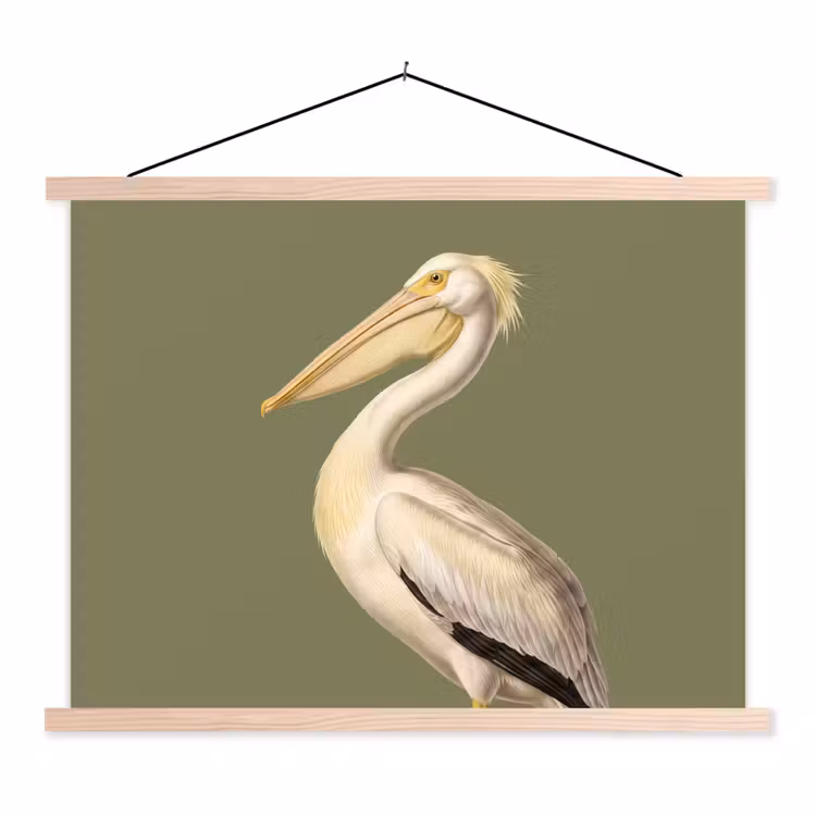 Schoolplaat - Pelikaan - Wit - Vogel - Klassiek - Natuur — 1