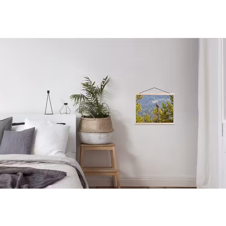 Schoolplaat - Uil - Oehoe - Bomen - Natuur — 2