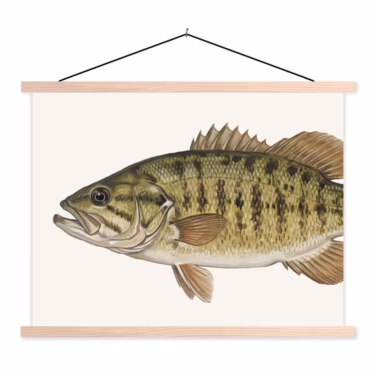 Schoolplaat - Vissen - Natuur - Vintage — 1