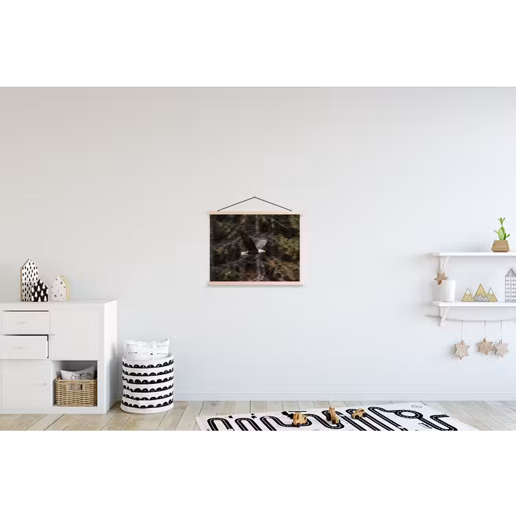 Schoolplaat - Zeearend - Vliegen - Bos - Natuur — 3