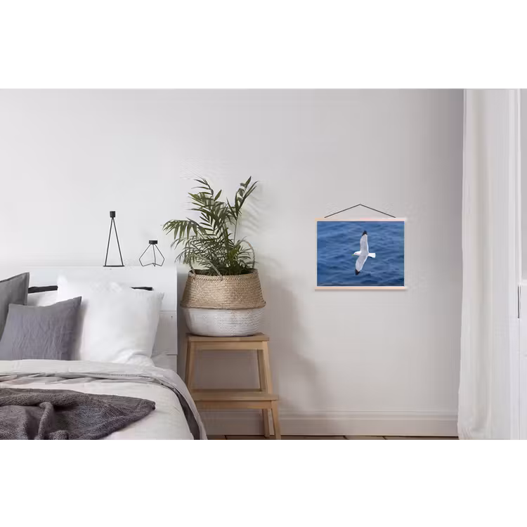 Schoolplaat - Zeemeeuw - Oceaan - Blauw — 2