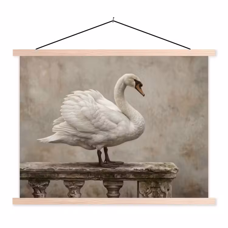 Schoolplaat - Zwaan - Elegant - Dieren - Wit — 1
