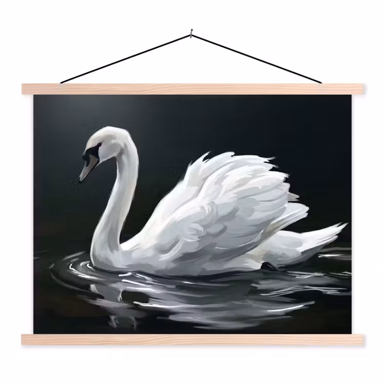 Schoolplaat - Zwaan - Water - Natuur - Realistisch - Wit — 1