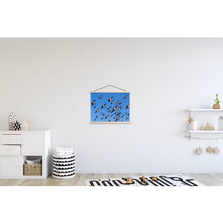 Schoolplaat - Zwaluwen - Vliegen - Blauw — 3
