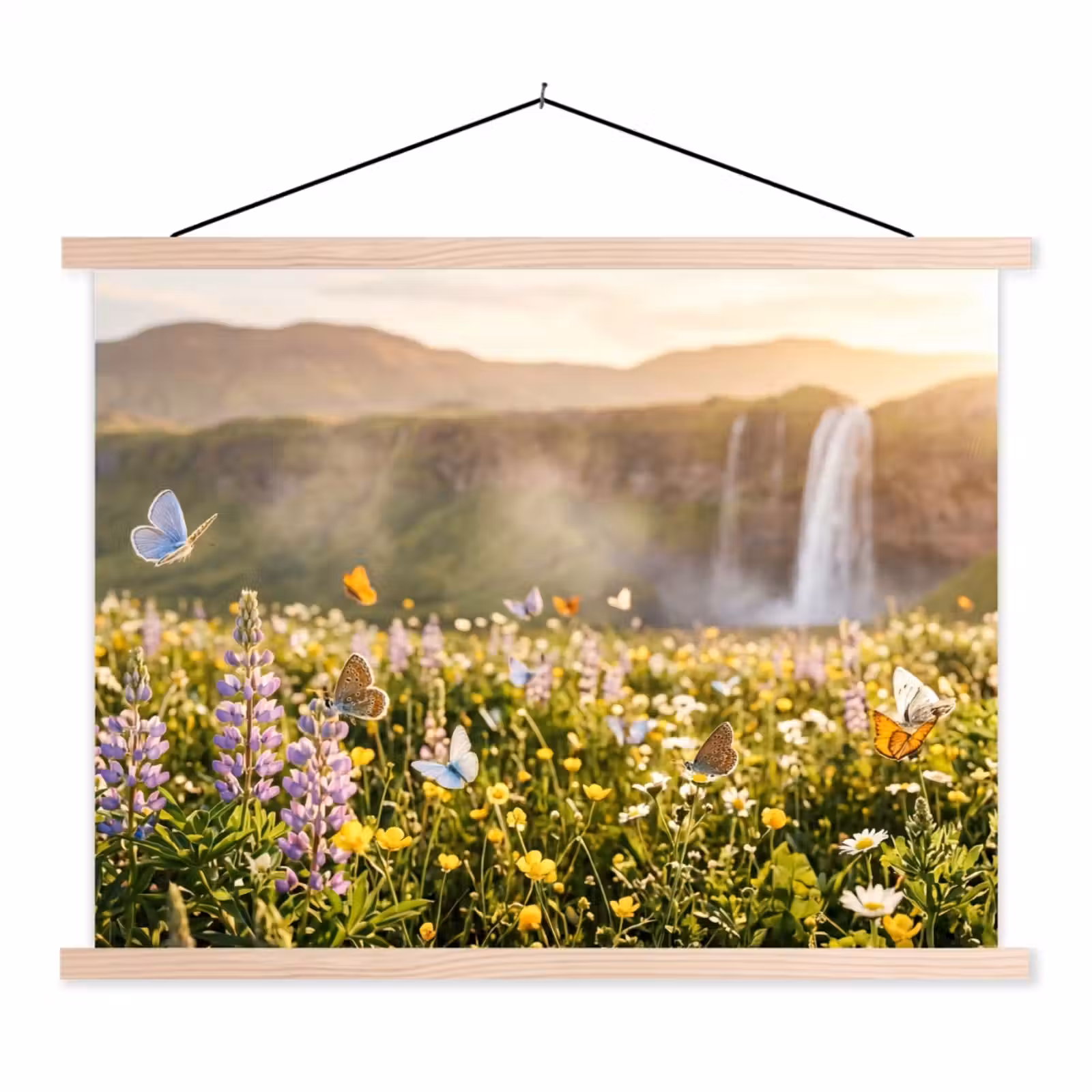 Schoolplaat - Vlinders - Waterval - Bloemenveld — 1