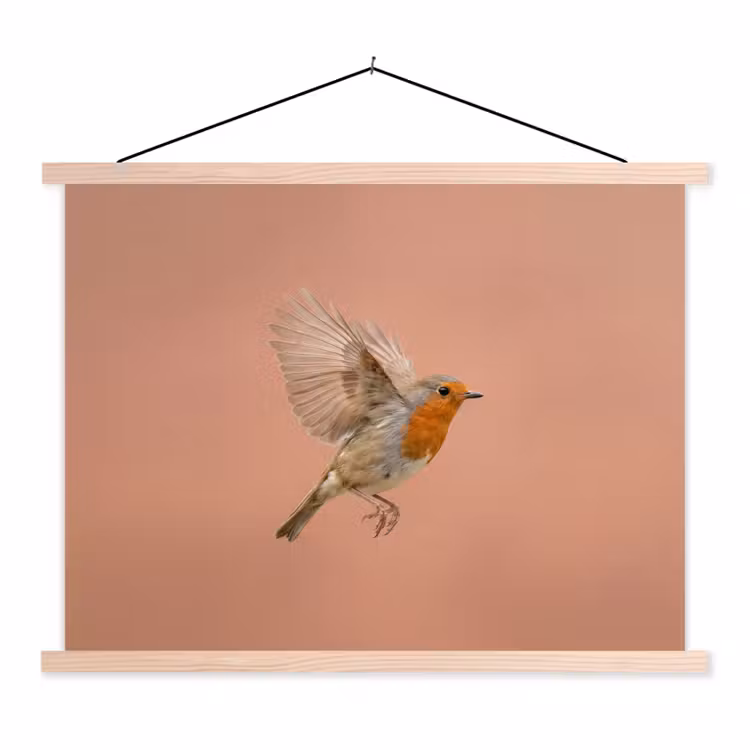 Schoolplaat - Roodborst - Natuur - Roze — 1