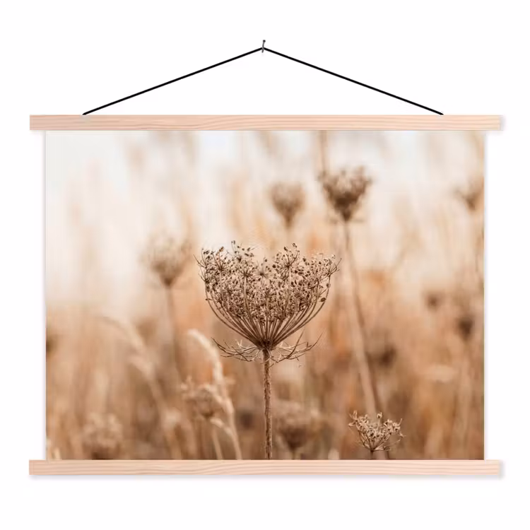 Schoolplaat - Schermbloem - Droogbloem - Winter - Beige - Minimalistisch — 1