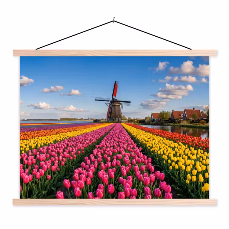 Schoolplaat - Tulpen - Holland - Molen - Kleurrijk — 1