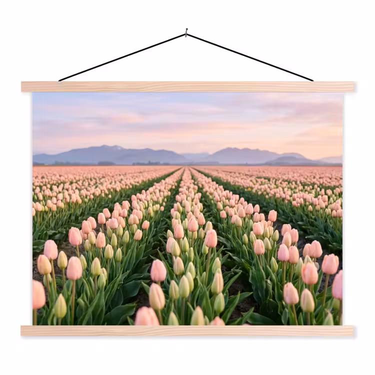 Schoolplaat - Tulpen - Landschap - Roze — 1
