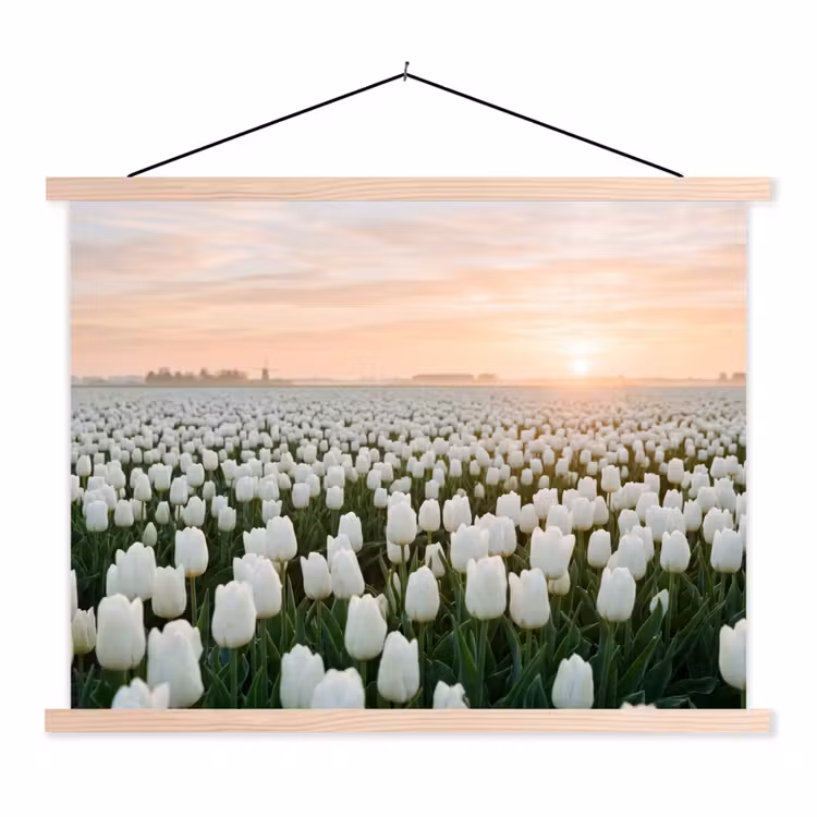 Schoolplaat - Tulpen - Landschap - Wit — 1