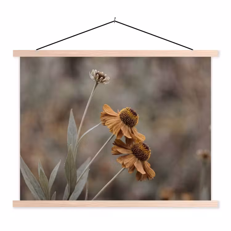 Schoolplaat - Zonnehoed - Droogbloemen - Geel - Warm — 1