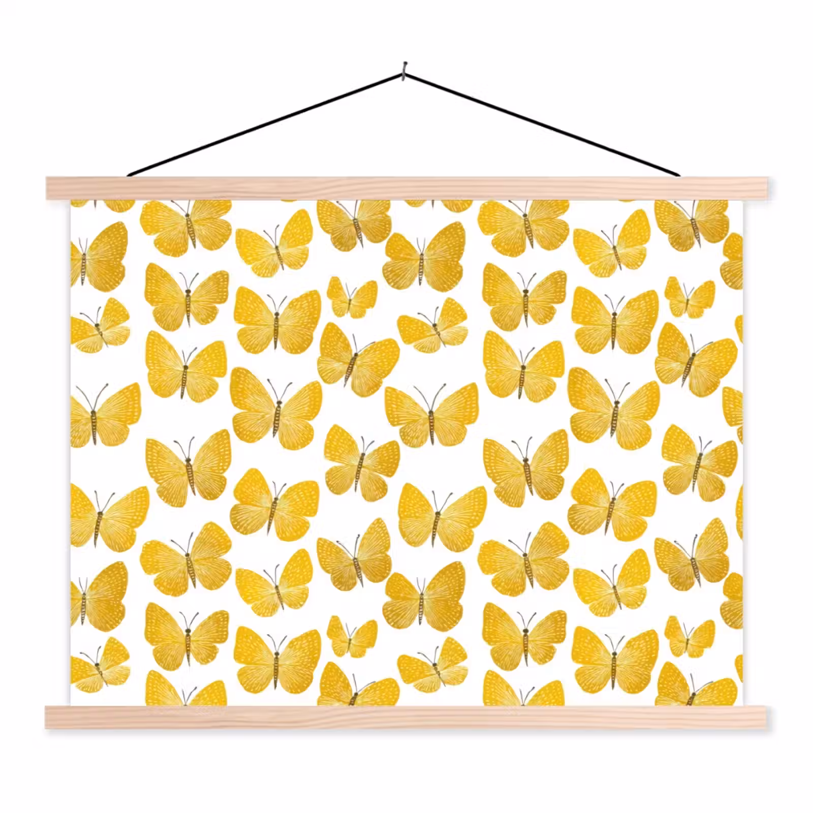 Schoolplaat - Vlinders - Botanisch - Illustratie - Geel - Wit — 1