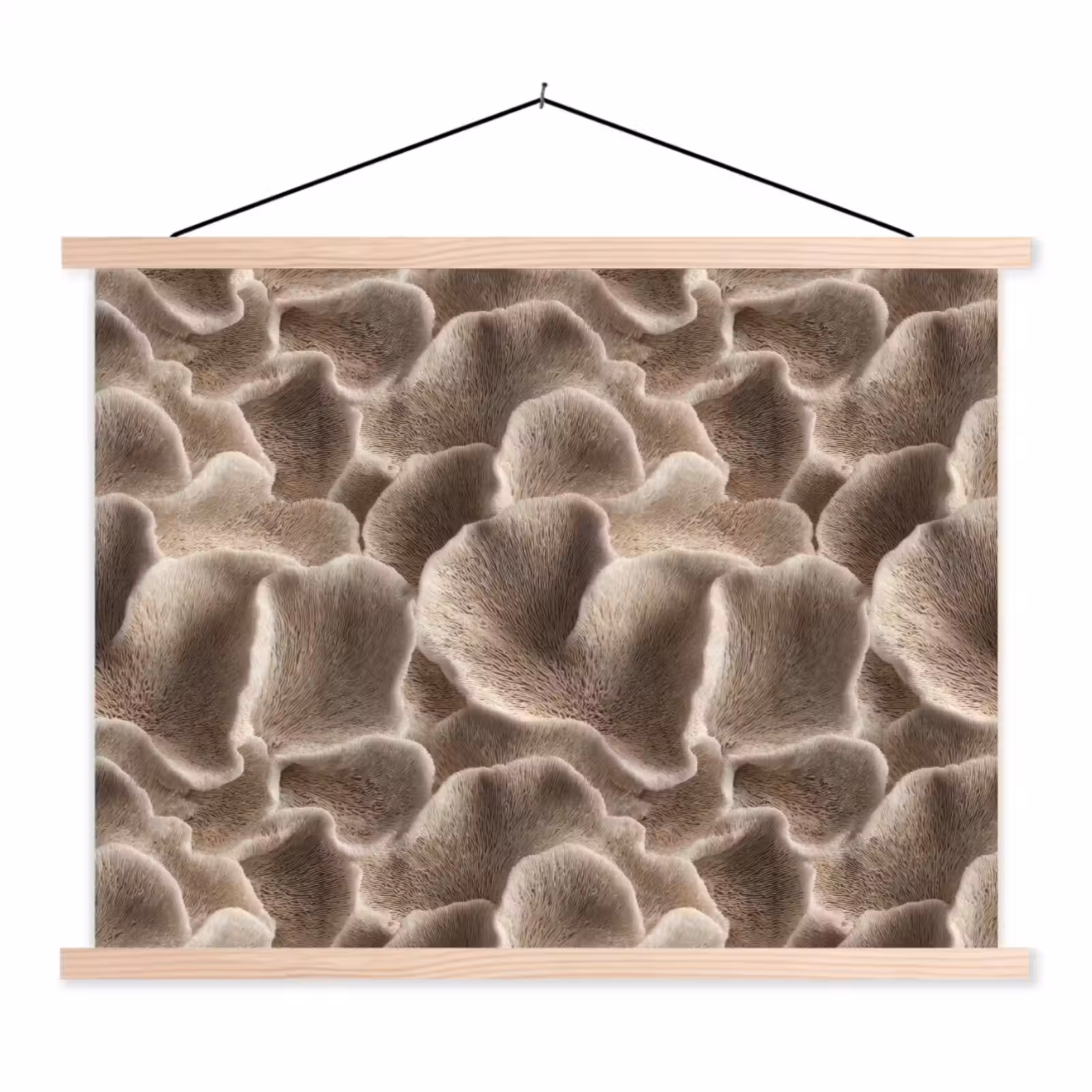 Schoolplaat - Waaiervorm - Beige - Vezel textuur — 1