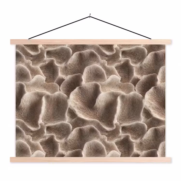 Schoolplaat - Waaiervorm - Beige - Vezel textuur — 1