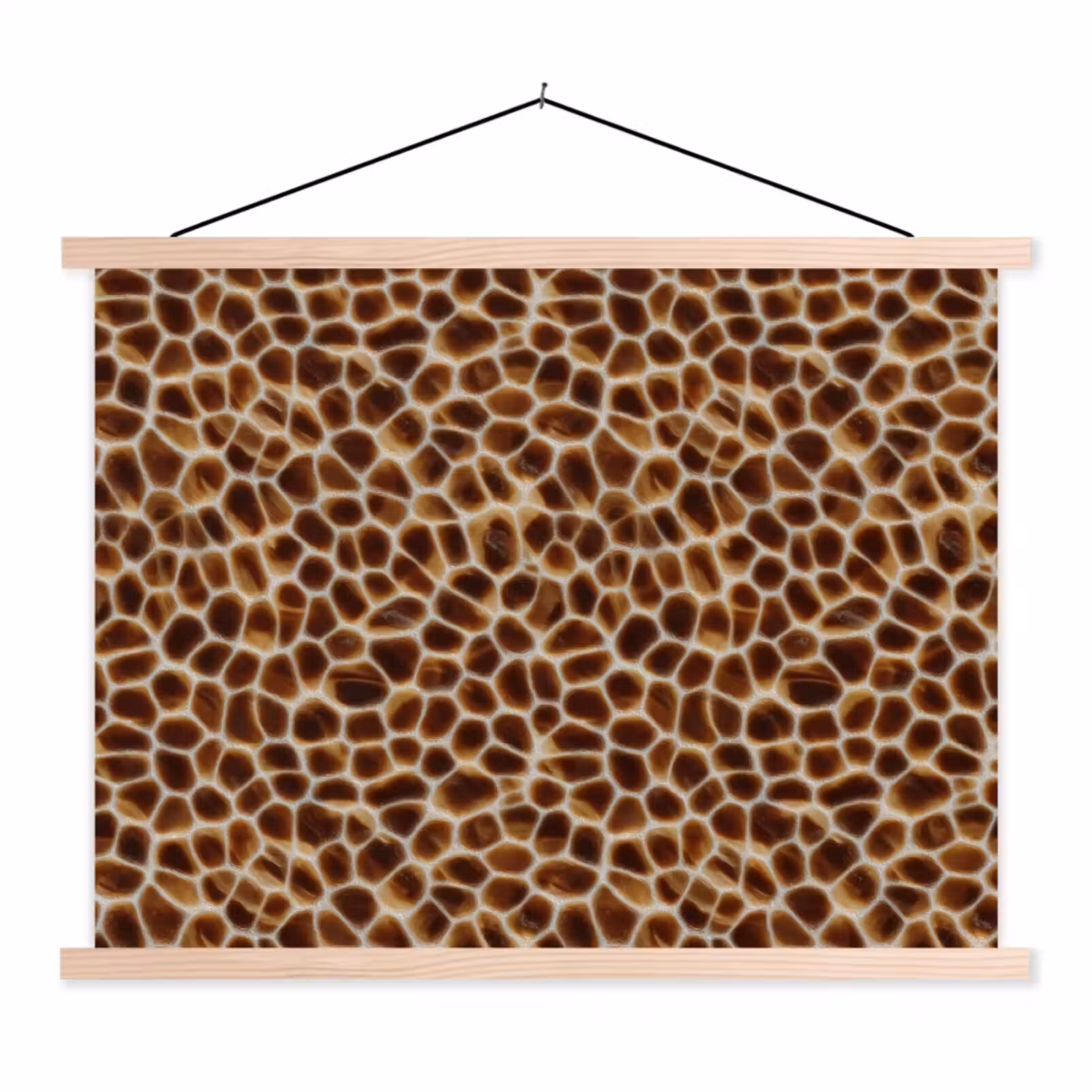 Schoolplaat - Schildpad - Bruin - Patroon — 1