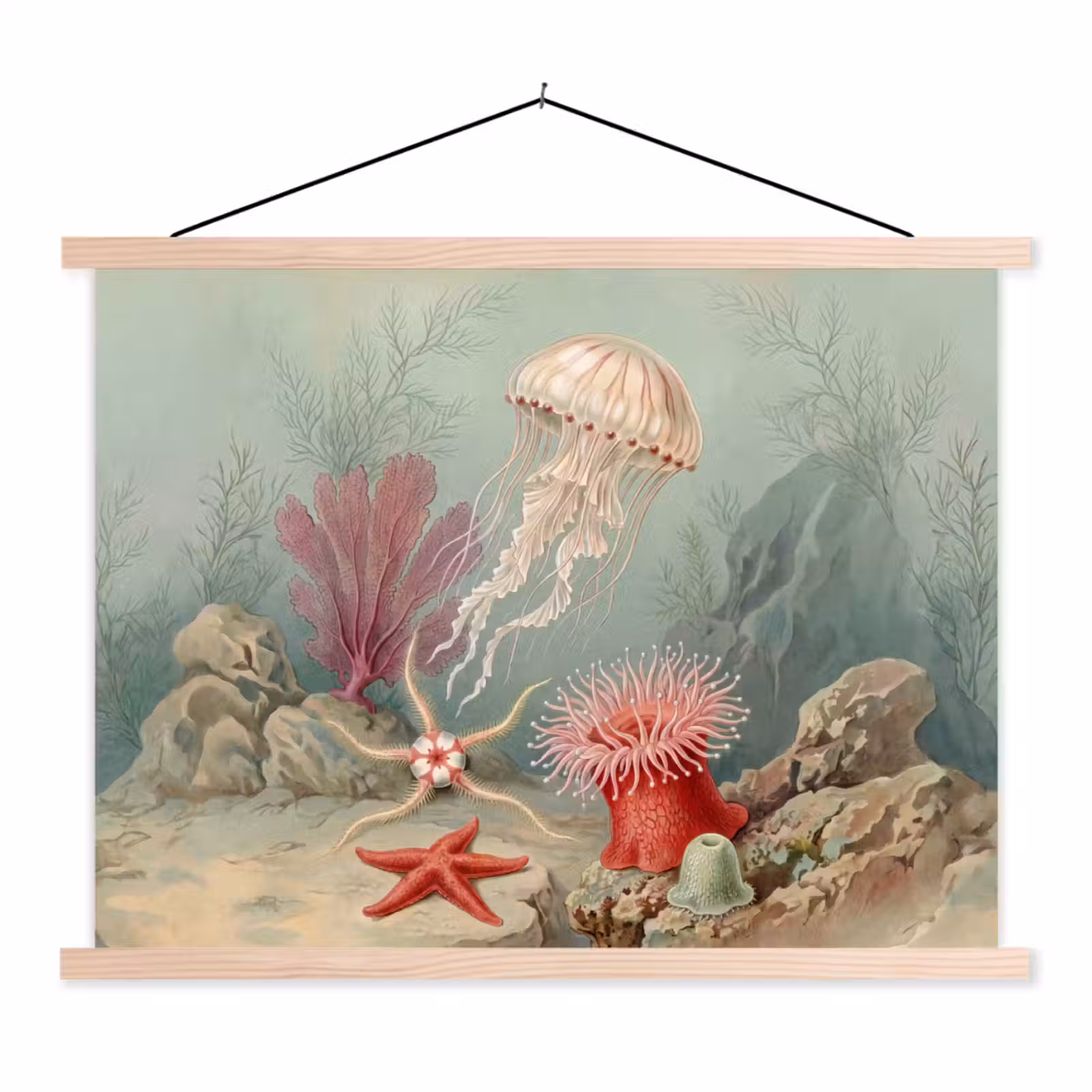 Schoolplaat - Zeeleven - Kwal - Onderwater - Illustratie - Beige — 1