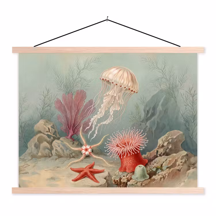 Schoolplaat - Zeeleven - Kwal - Onderwater - Illustratie - Beige — 1