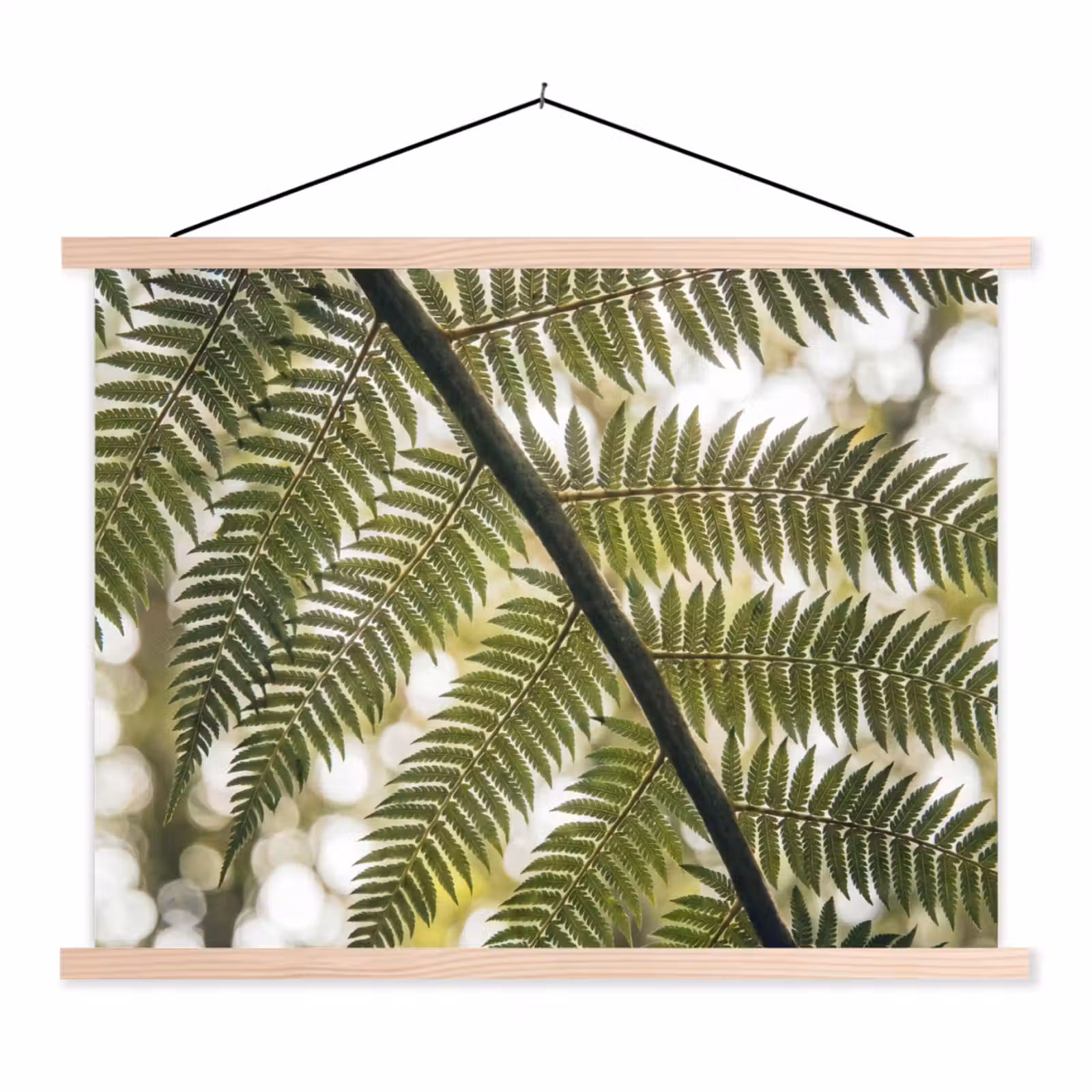 Schoolplaat - Plant - Blad - Natuur - Groen - Detail — 1