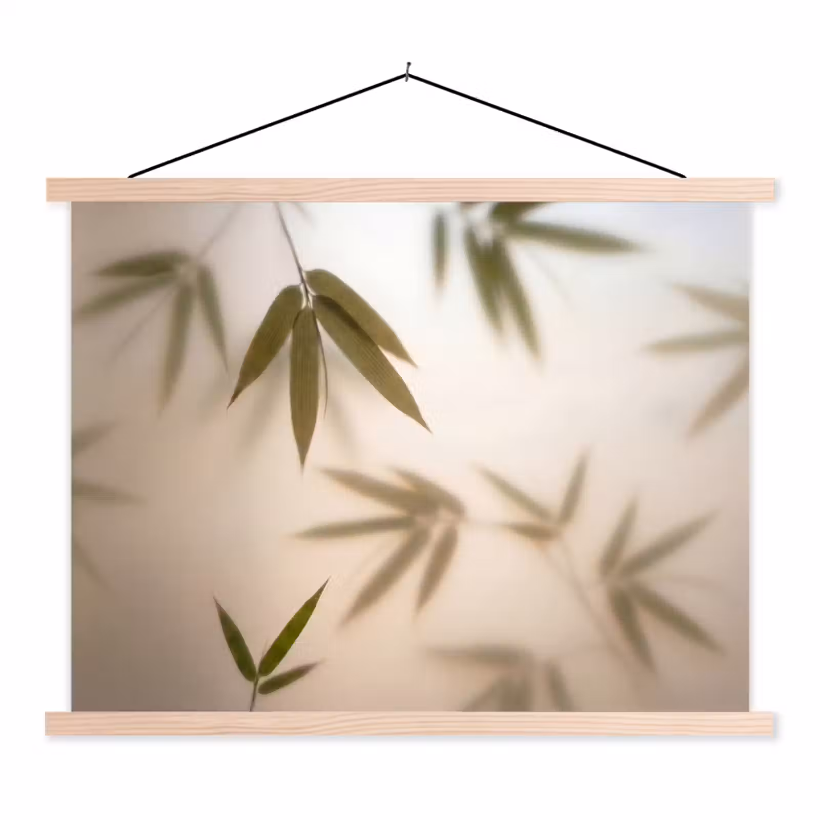 Schoolplaat - Planten - Bladeren - Natuur - Groen — 1