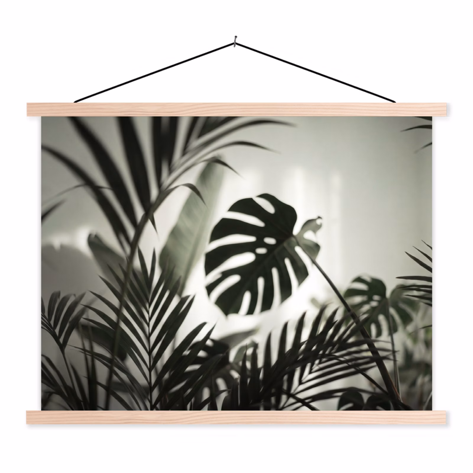 Schoolplaat - Planten - Bladeren - Natuur - Minimalistisch - Groen — 1