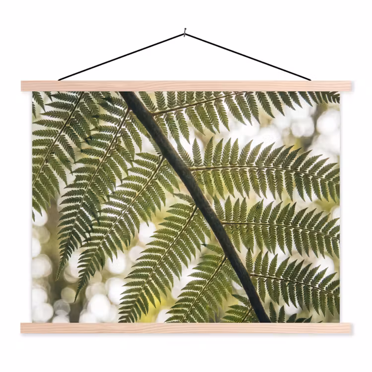 Schoolplaat - Plant - Blad - Natuur - Groen - Detail — 1