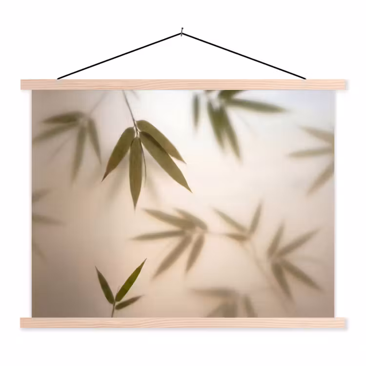 Schoolplaat - Planten - Bladeren - Natuur - Groen — 1