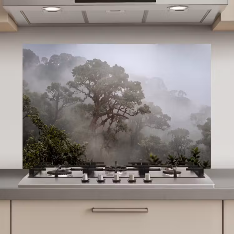 Spatscherm keuken - Boom - Mistig - Bos - Groen - Natuur — 1