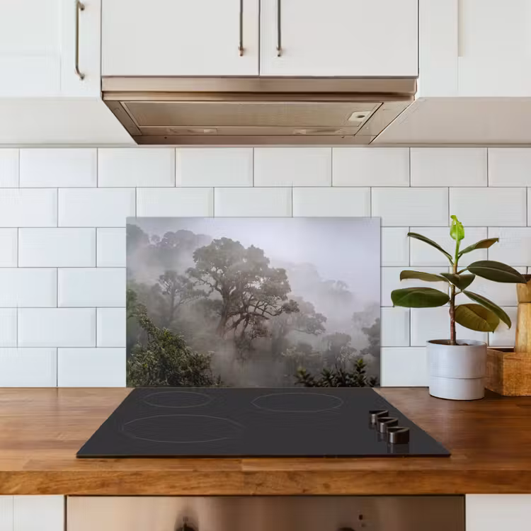 Spatscherm keuken - Boom - Mistig - Bos - Groen - Natuur — 6