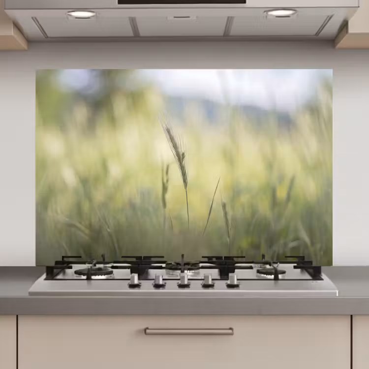Spatscherm keuken - Graan - Aar - Natuur - Groen - Detail — 1