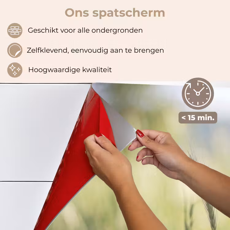 Spatscherm keuken - Graan - Aar - Natuur - Groen - Detail — 4