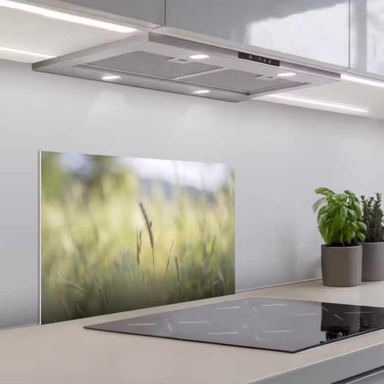 Spatscherm keuken - Graan - Aar - Natuur - Groen - Detail — 5