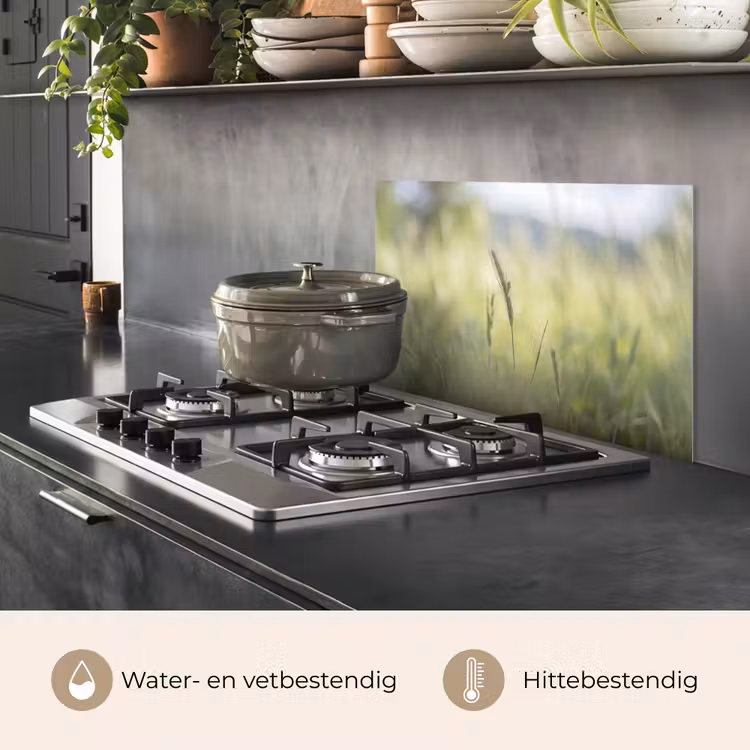 Spatscherm keuken - Graan - Aar - Natuur - Groen - Detail — 7
