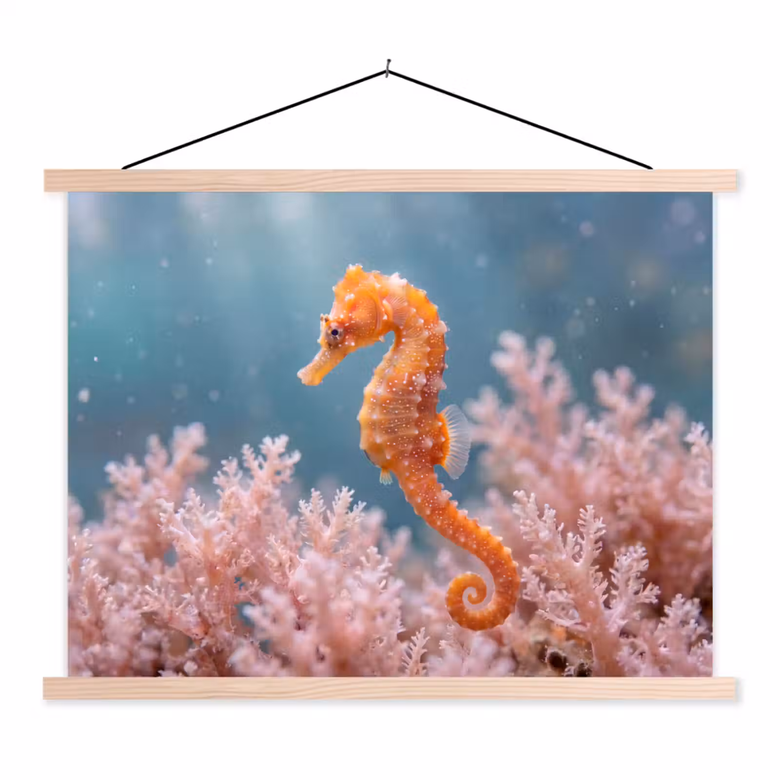 Schoolplaat - Vis - Koraal - Oceaan - Macro - Oranje — 1